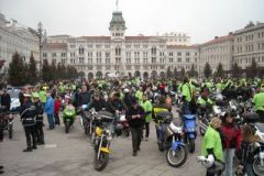 13b-Copia-Copia
